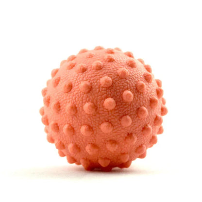 CORSALVO Sfera Terapeutica